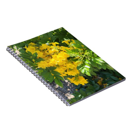 Desert Bloom Notizblock (Rechte Seite)