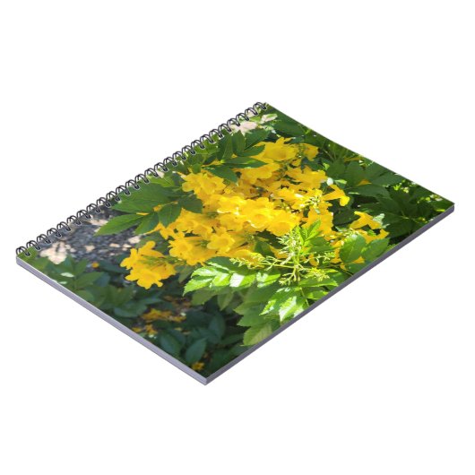 Desert Bloom Notizblock (Linke Seite)