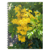 Desert Bloom Notizblock (Vorderseite)