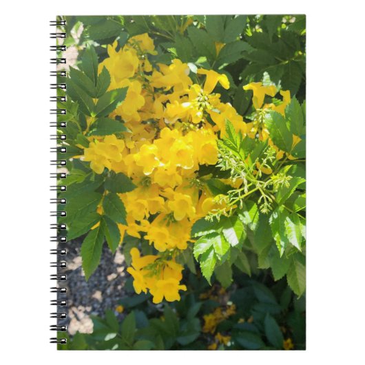 Desert Bloom Notizblock (Vorderseite)