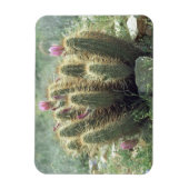 Desert Blooms Cactus Decorative Kühlschrankmagnet Magnet (Vertikal)