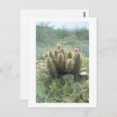 Desert Blooms Cactus Sonora Arizona Foto Postkarte (Vorne/Hinten)