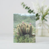 Desert Blooms Cactus Sonora Arizona Foto Postkarte (Stehend Vorderseite)