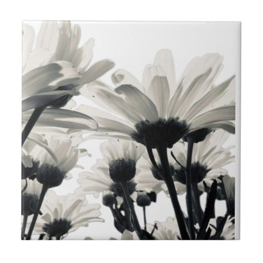 Desert Blooms Case-Mate iPhone-Hülle Fliese (Vorderseite)