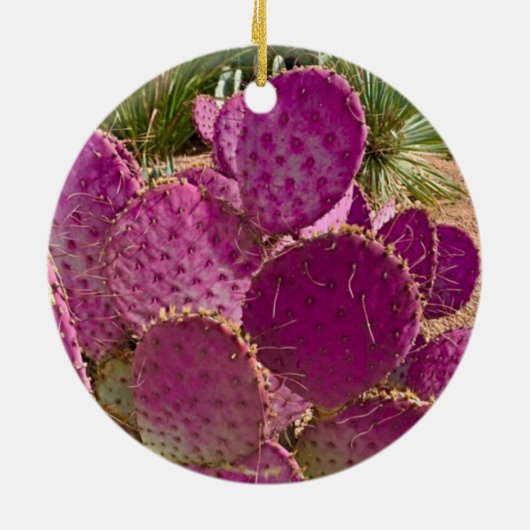 Desert Blooms Keramik Ornament (Hinten)