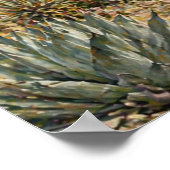 Desert Botanical Garden Cactus & Succulent  Poster (Ecke)