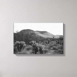 Desert Cacti Jumping Cholla B&W Foto Art Print Leinwanddruck