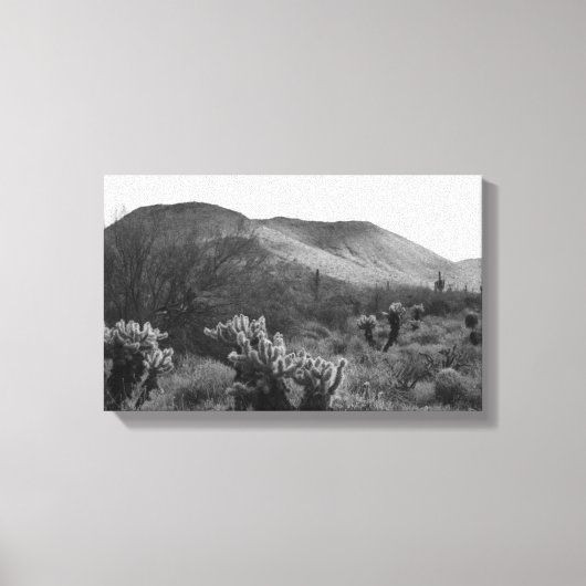 Desert Cacti Jumping Cholla B&W Foto Art Prints Leinwanddruck (Vorderseite)