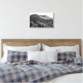 Desert Cacti Jumping Cholla B&W Foto Art Prints Leinwanddruck (Insitu (Schlafzimmer))