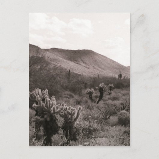 Desert Cacti Jumping Cholla B&W Foto Postkarte (Vorderseite)