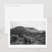 Desert Cacti Jumping Cholla B&W Foto Postkarten (Vorne/Hinten)