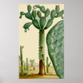 Desert Cacti Scene Poster (Vorne)