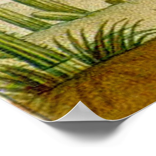 Desert Cacti Scene Poster (Ecke)
