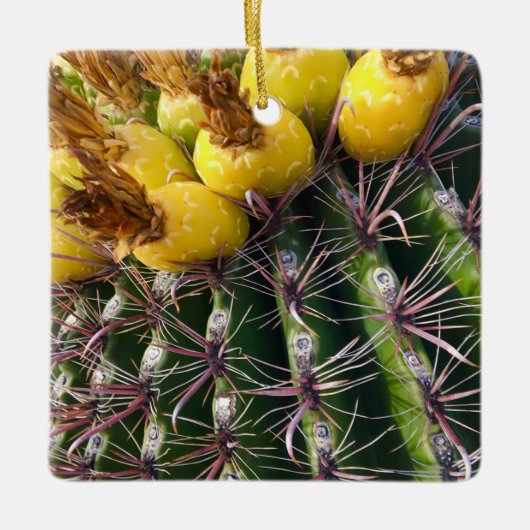 Desert Cactus Blooming Frohe Weihnachten Keramikornament (Vorderseite)