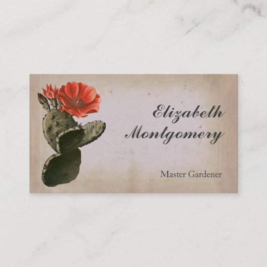 Desert Cactus Blume Beruflich Business Cards Visitenkarte (Vorderseite)