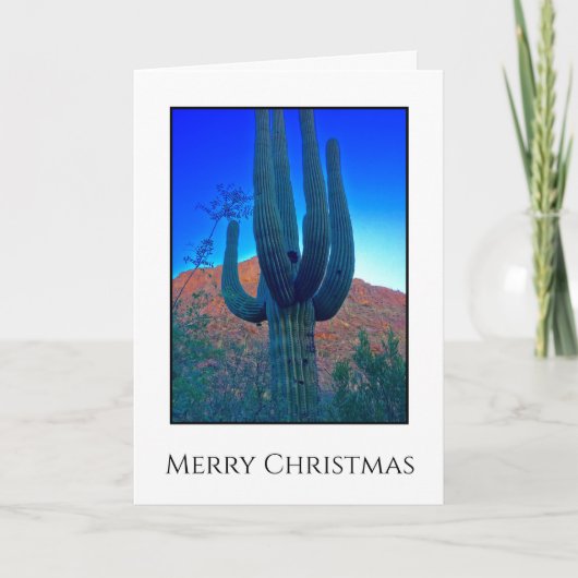 Desert Cactus Christmas Feiertagskarte (Vorderseite)