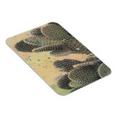 Desert Cactus | Grüner Spritzer Magnet (Rechte Seite)