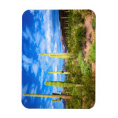 Desert cactus landscape, Arizona Magnet (Vertikal)