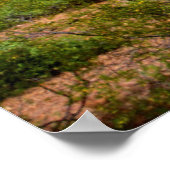 Desert cactus landscape, Arizona Poster (Ecke)