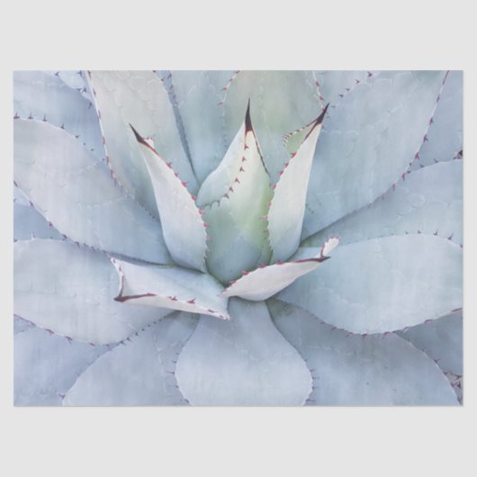 Desert Cactus Nah-up Decoupage Tissue Paper Seidenpapier (Vorderseite)