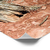 Desert Cactus Poster (Ecke)