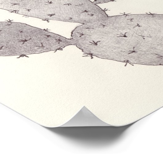 Desert Cactus Poster (Ecke)