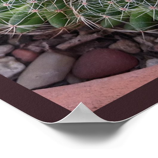 Desert Cactus Poster (Ecke)