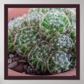 Desert Cactus Poster (Vorne)