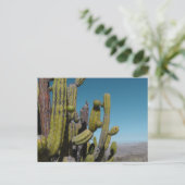 Desert Cactus Postkarte (Stehend Vorderseite)