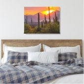 Desert cactus sunset, Arizona Leinwanddruck (Insitu (Schlafzimmer))