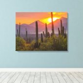 Desert cactus sunset, Arizona Leinwanddruck (Insitu (Holzboden))
