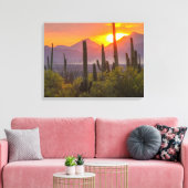 Desert cactus sunset, Arizona Leinwanddruck (Insitu (Wohnzimmer))
