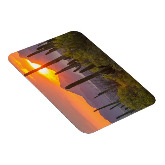Desert cactus sunset, Arizona Magnet (Rechte Seite)