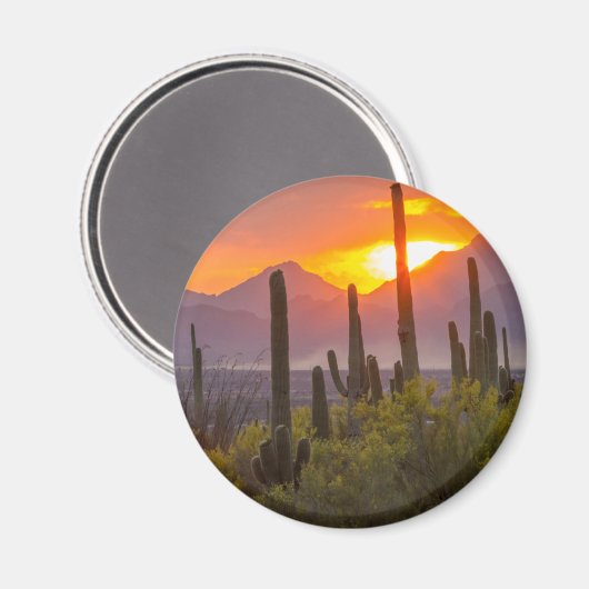 Desert cactus sunset, Arizona Magnet (Vorderseite/Rückseite)