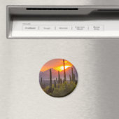Desert cactus sunset, Arizona Magnet (In Situ (Geschirrspüler))