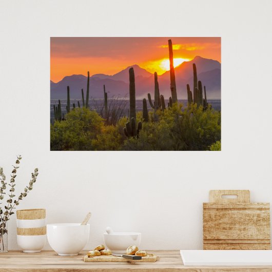 Desert cactus sunset, Arizona Poster (Küche)
