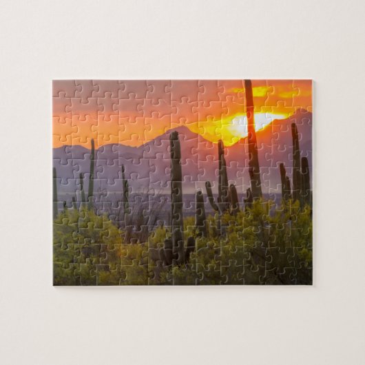 Desert cactus sunset, Arizona Puzzle (Horizontal)