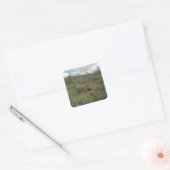 Desert Cactus Symphony Art Custom Sticker Decals (Umschlag)