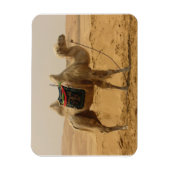 Desert Camel Magnet (Vertikal)