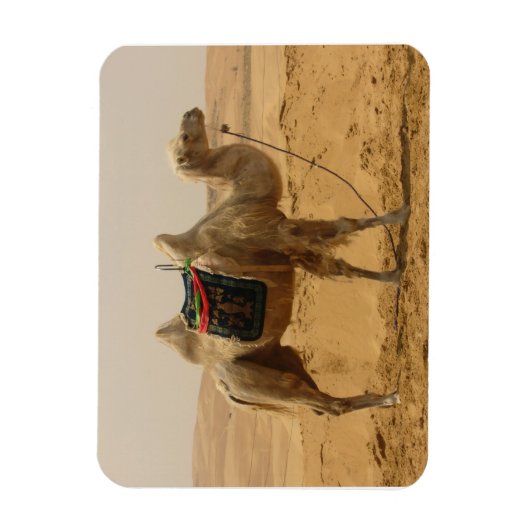 Desert Camel Magnet (Vertikal)