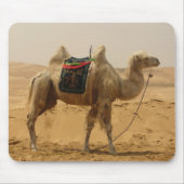 Desert Camel Mousepad (Vorne)