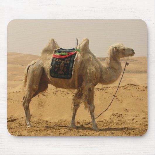 Desert Camel Mousepad (Vorne)