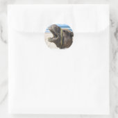Desert Camel Stickers (Tasche)