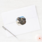 Desert Camel Stickers (Umschlag)