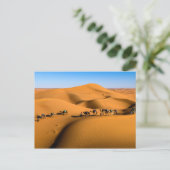 DESERT CAMEL TRAIN - Sanddünen in Tamnougalt Postkarte (Stehend Vorderseite)