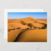 DESERT CAMEL TRAIN - Sanddünen in Tamnougalt Postkarte (Vorne/Hinten)