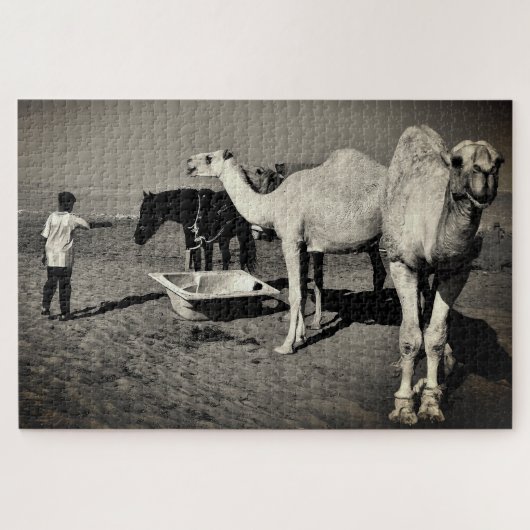 Desert Camels Puzzle (Horizontal)