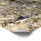 Desert Canyon Poster (Ecke)