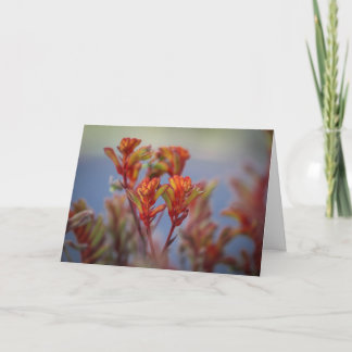 Desert Christmas Garden Plant Red Green Feiertagskarte