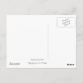 Desert Climber Postcard Postkarte (Rückseite)